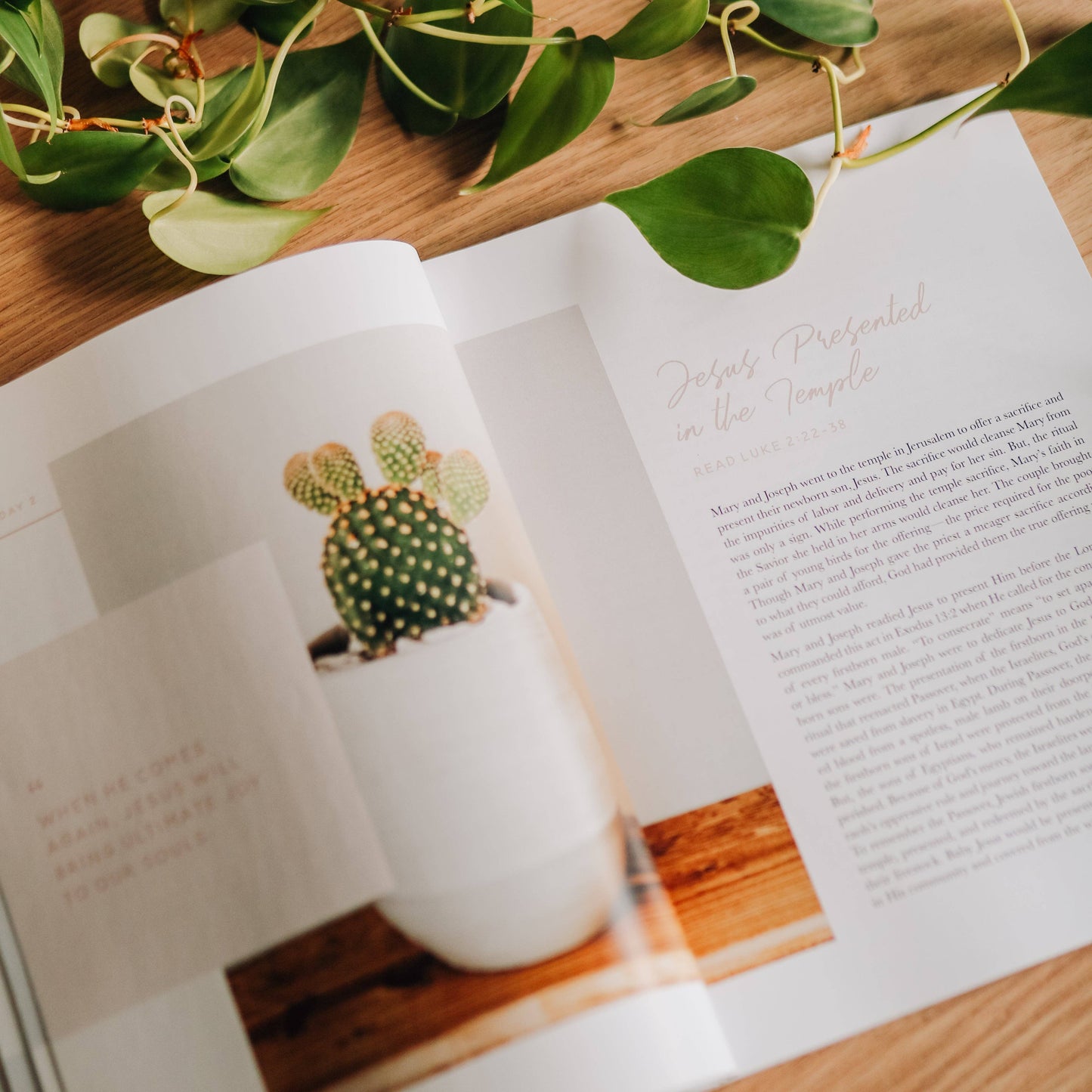 40 Days with Jesus | Lent Study