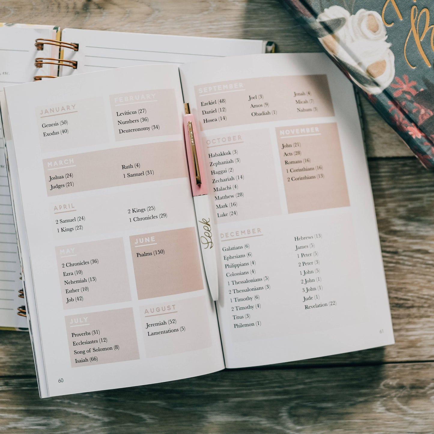 Seasons in the Word - Bible Reading Plans