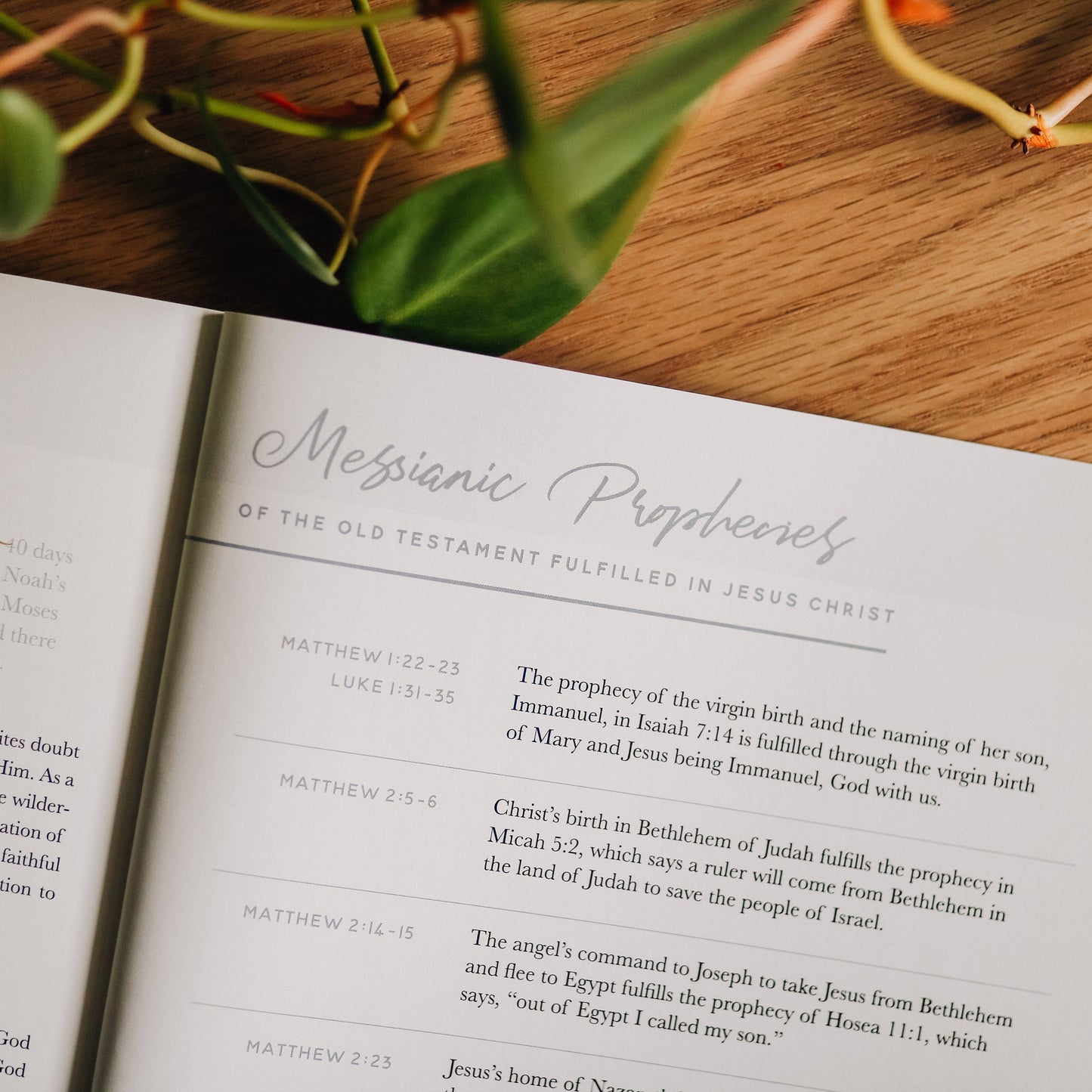 40 Days with Jesus | Lent Study
