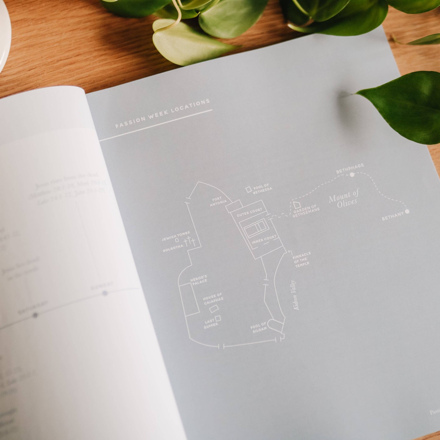 40 Days with Jesus | Lent Study