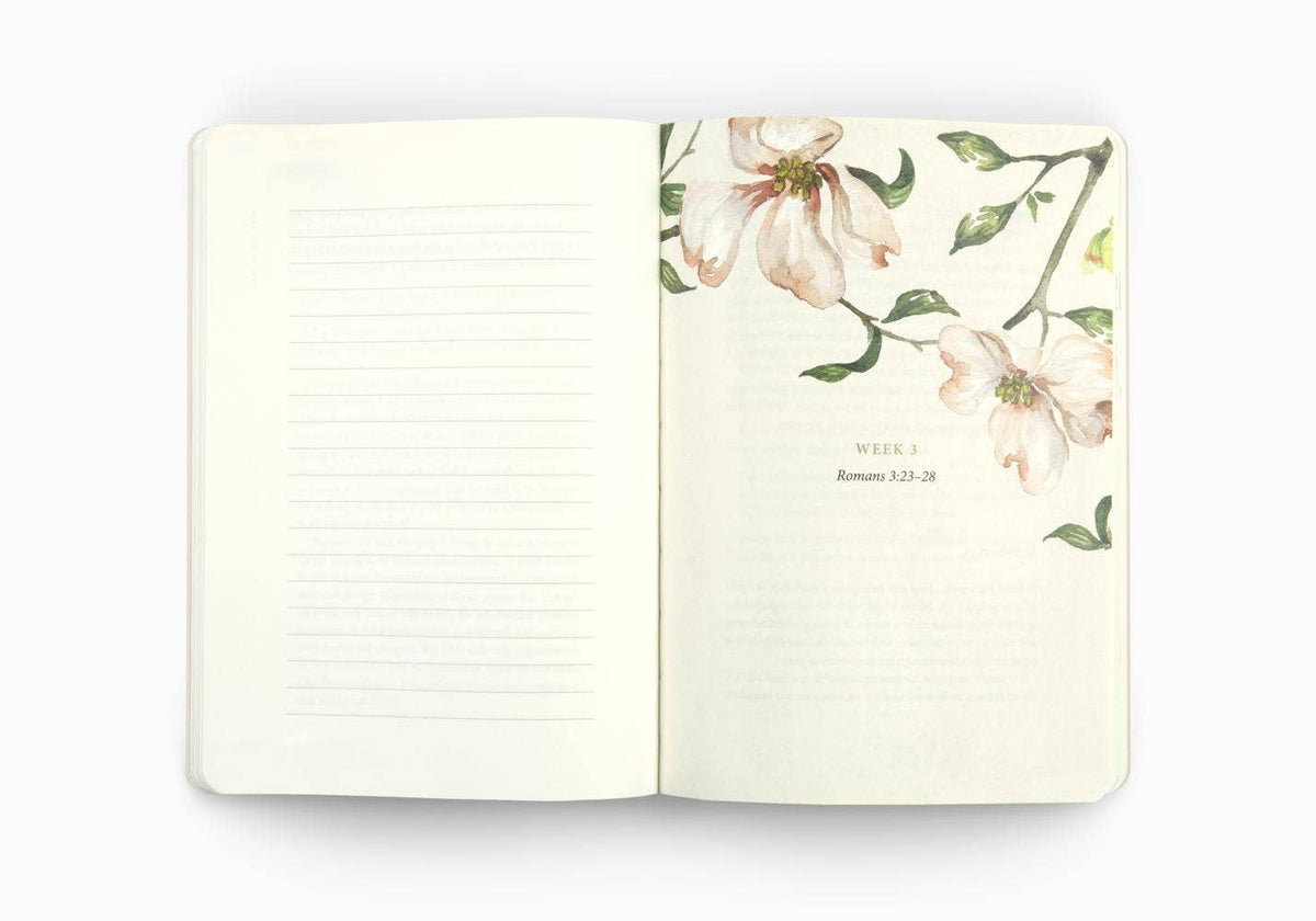 Prayer Journal: 30 Days on the Gospel