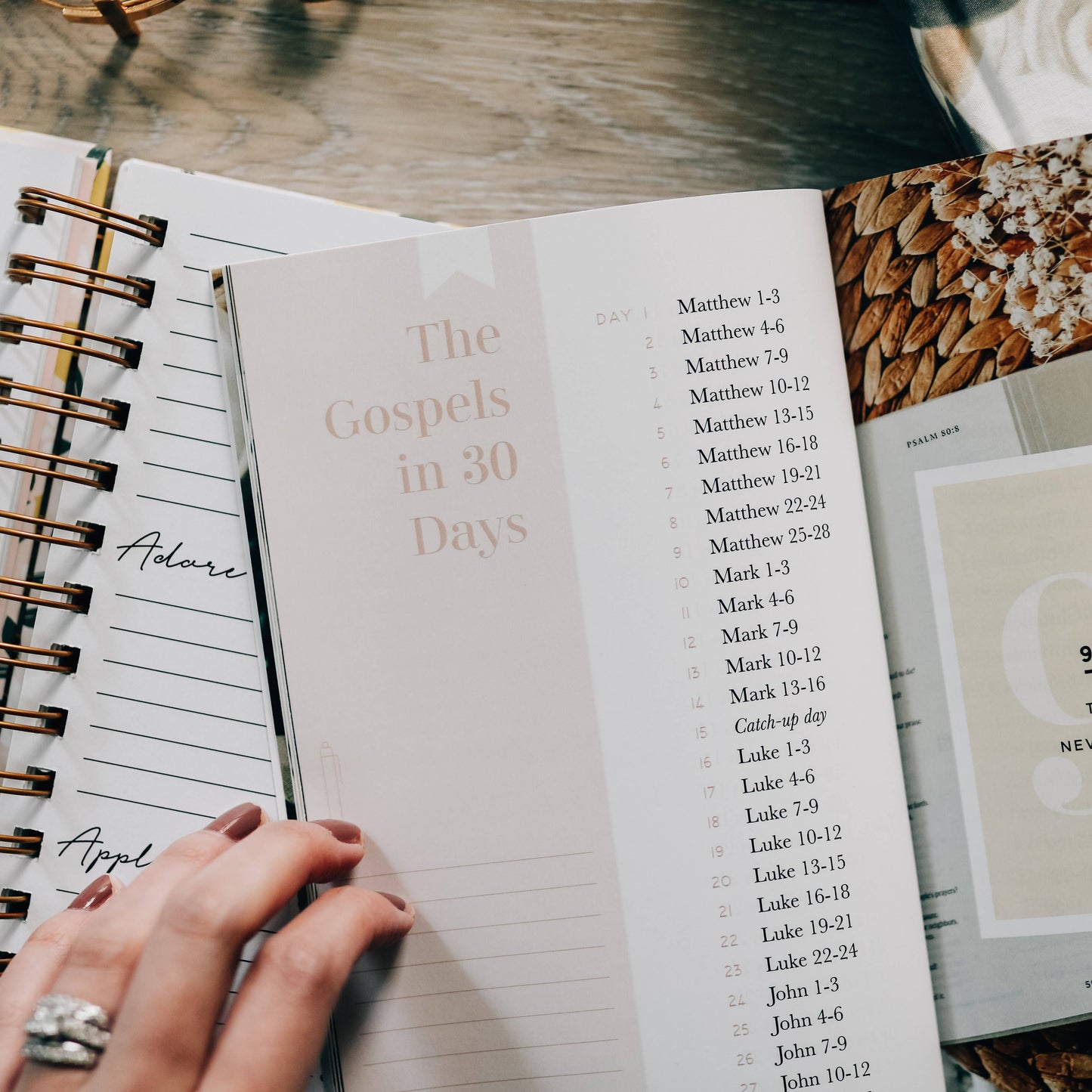 Seasons in the Word - Bible Reading Plans