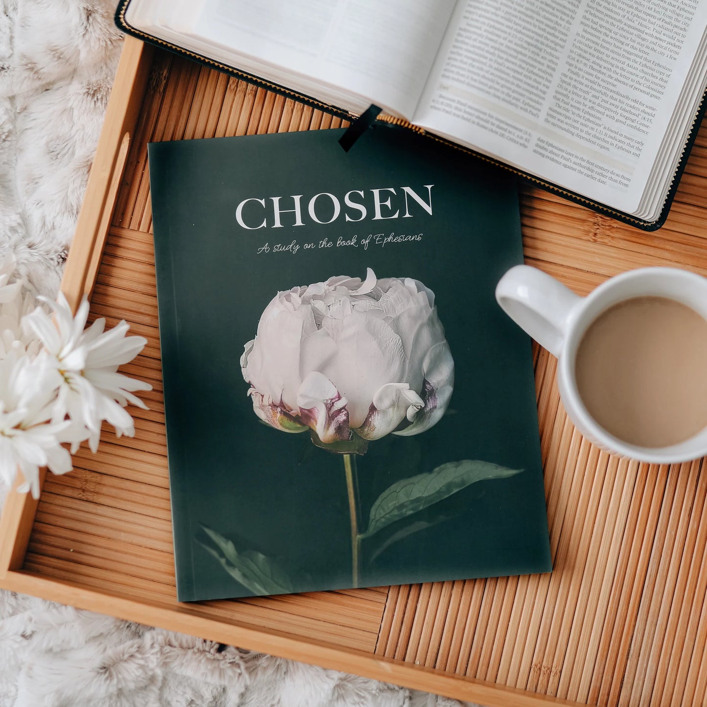 Chosen Study of Ephesians