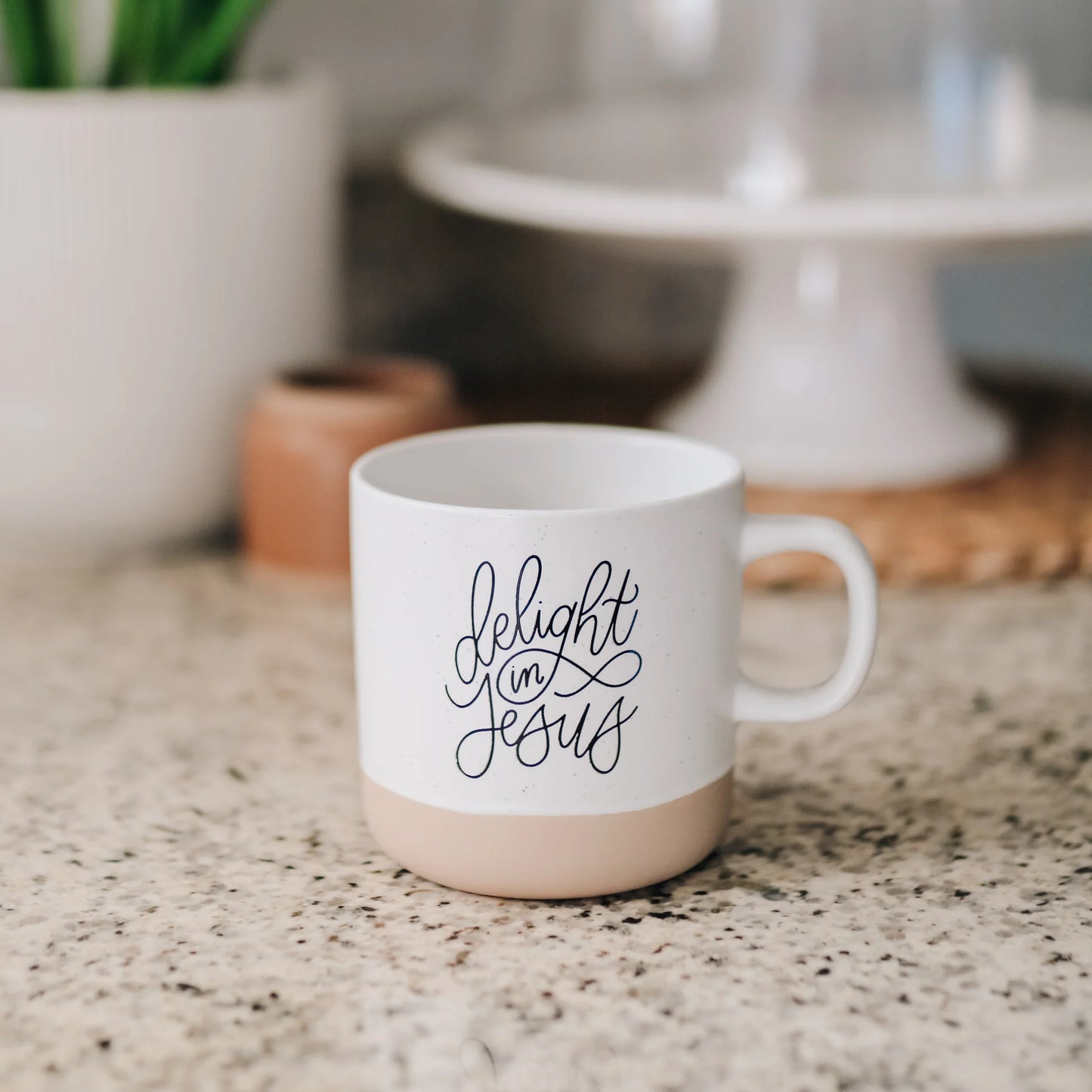 Delight in Jesus Mug