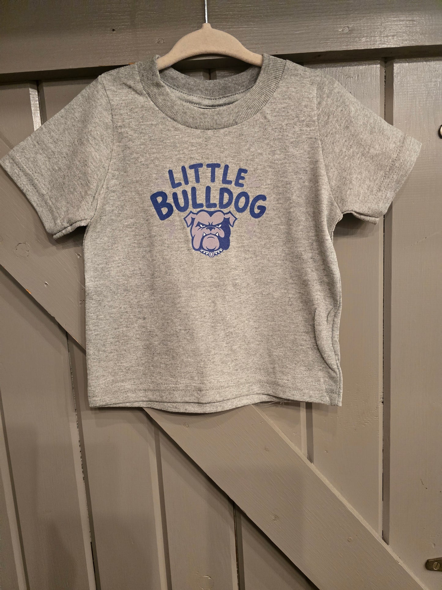 Little Bulldog Head