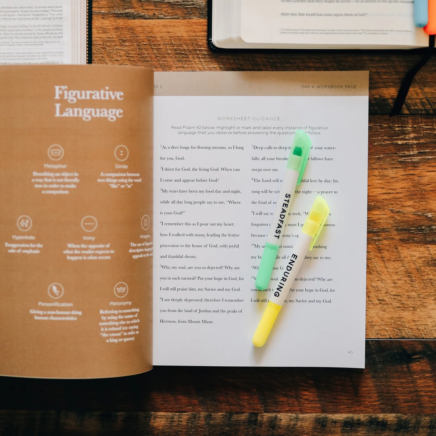 Search the Word Study - Men