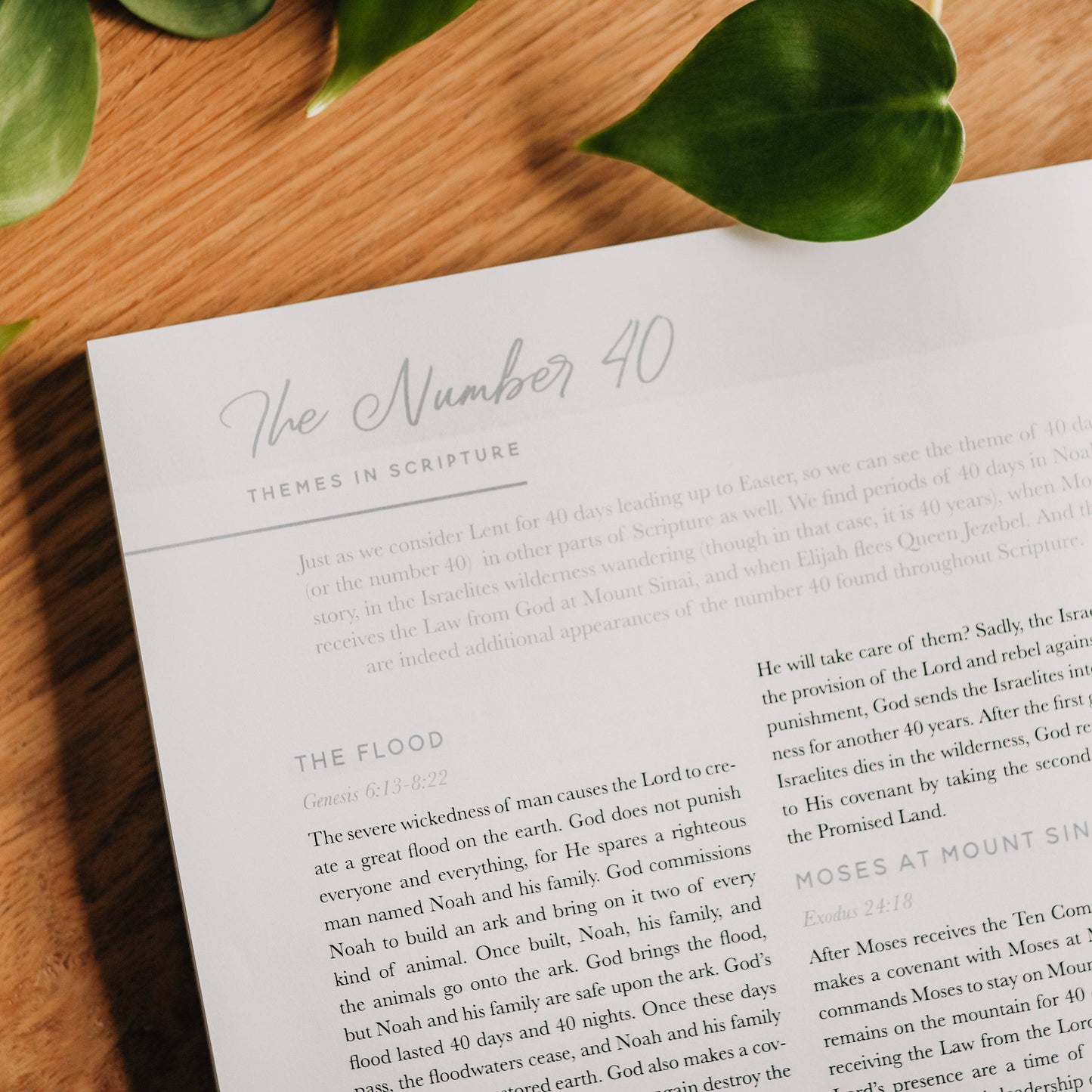 40 Days with Jesus | Lent Study