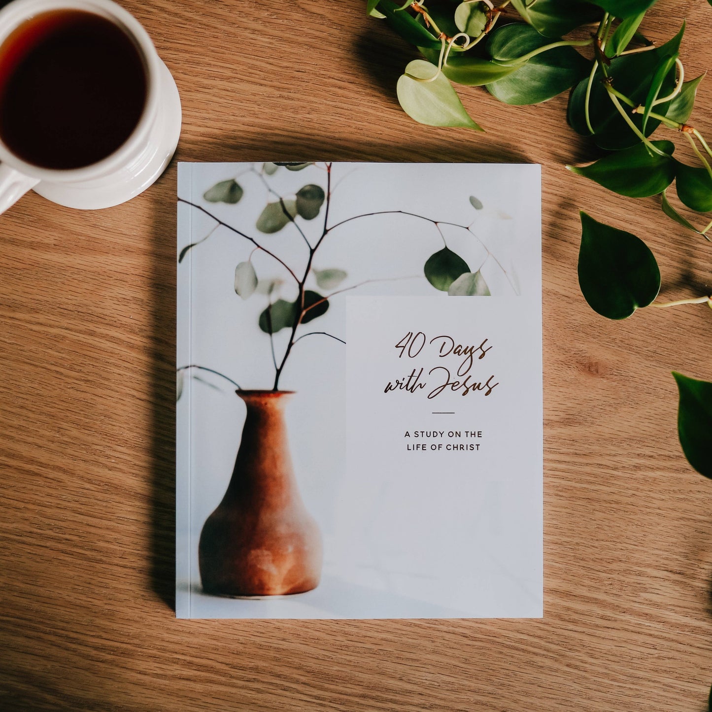 40 Days with Jesus | Lent Study