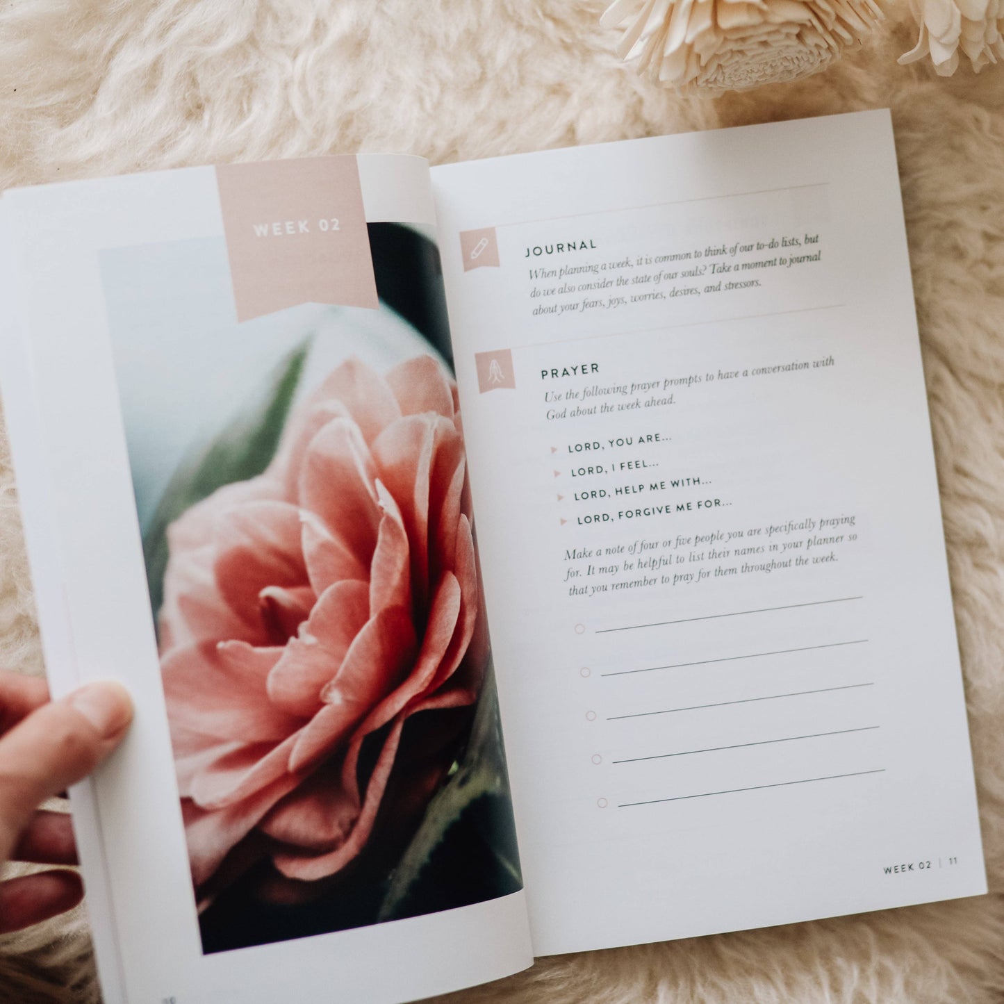 Fix Your Focus | A 52-Week Guide