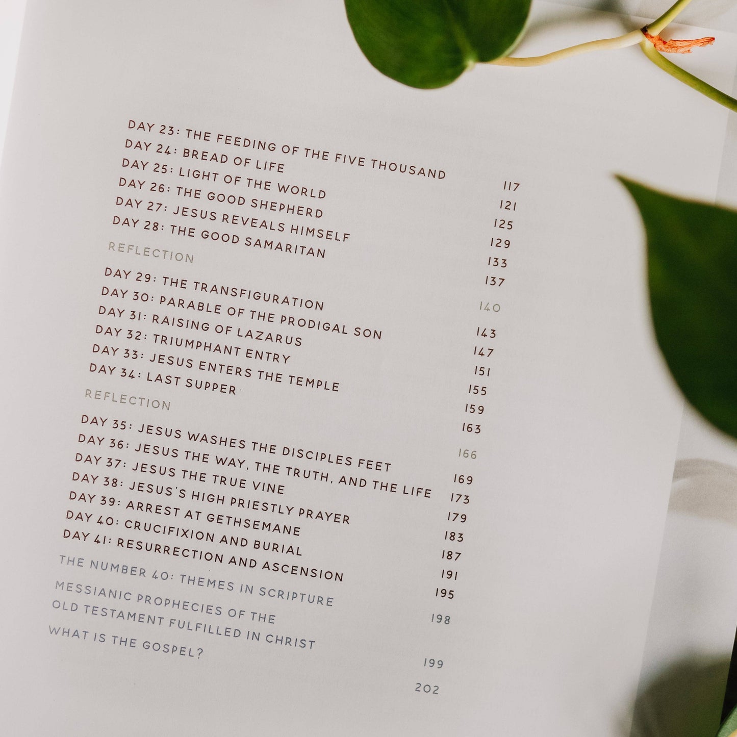 40 Days with Jesus | Lent Study