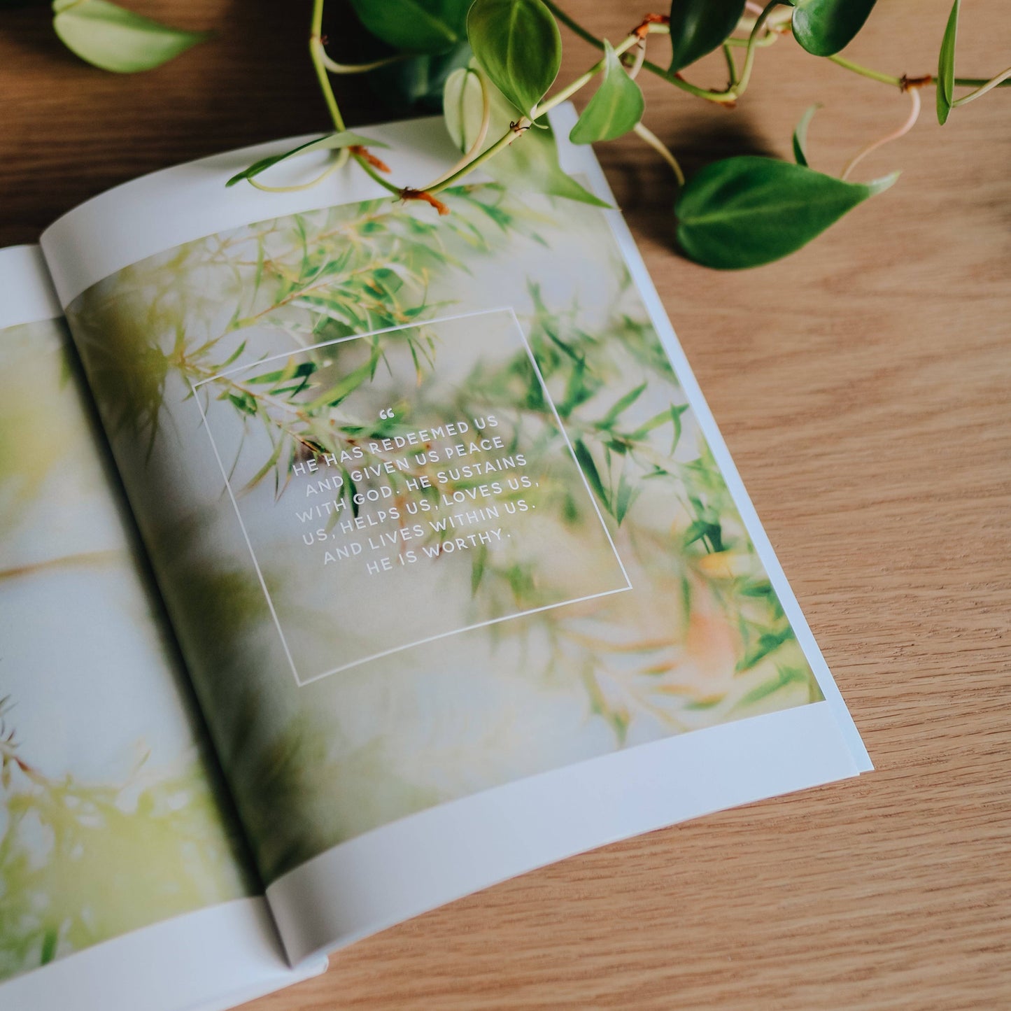 40 Days with Jesus | Lent Study