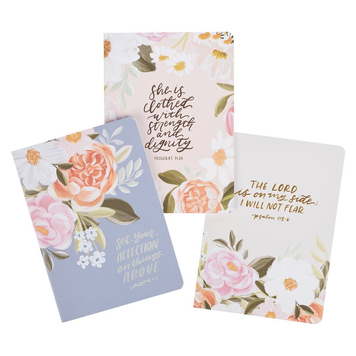 Notebooks: Set Your Affection