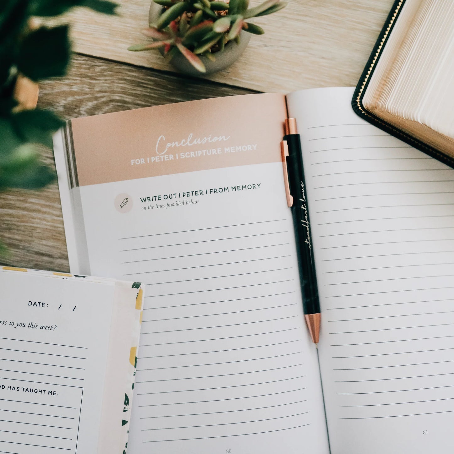 Dwell Scripture Memory Journal - Growing in Grace