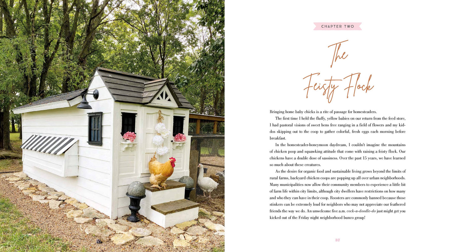 The Grace-Filled Homestead Book