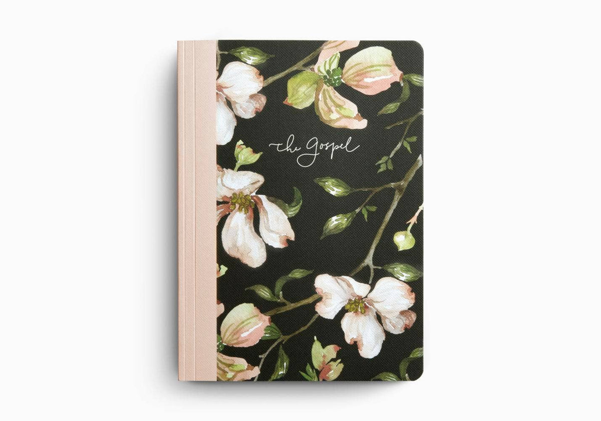 Prayer Journal: 30 Days on the Gospel