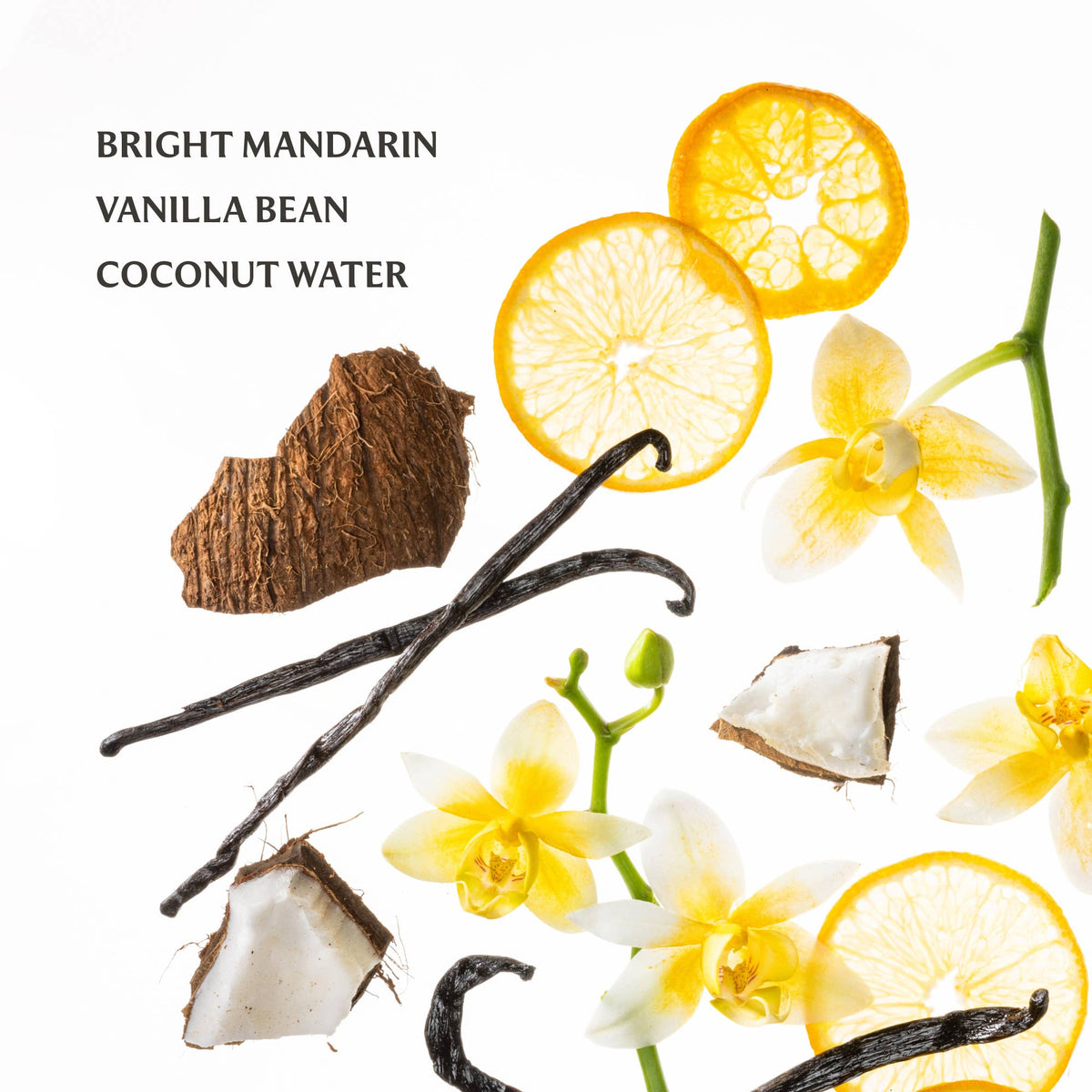 Hand Sanitizer / Vanilla Blossom
