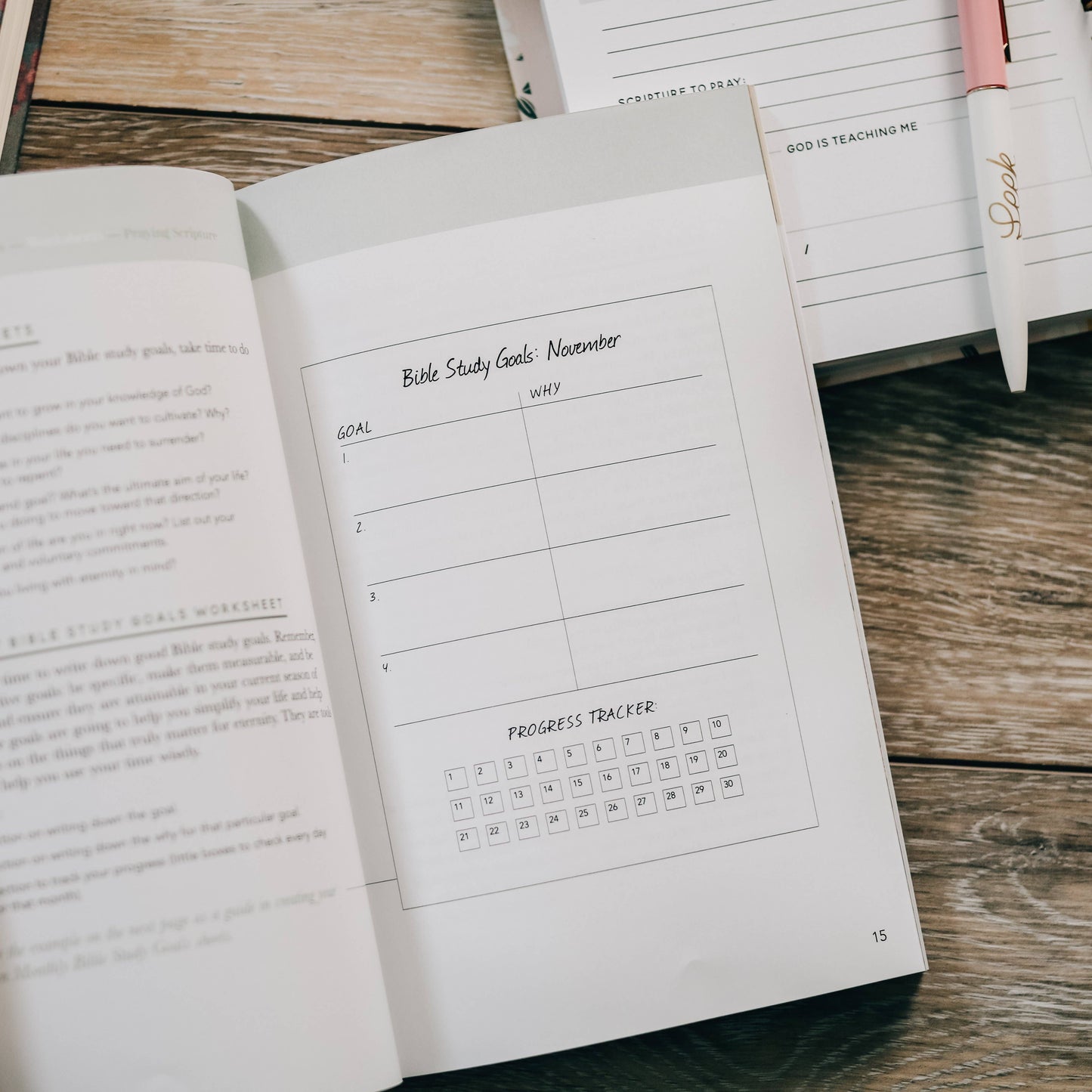 Seasons in the Word - Bible Reading Plans