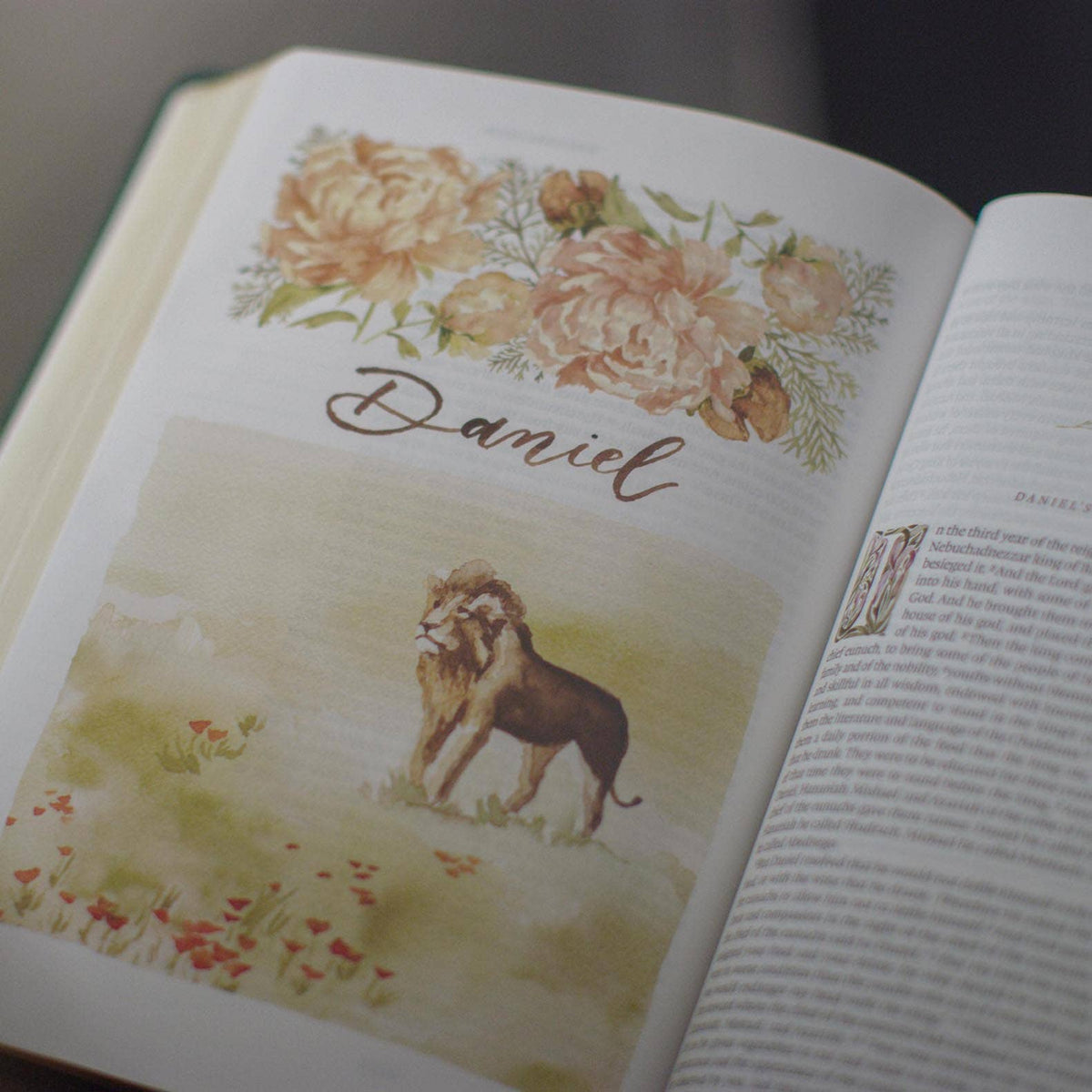 GraceLaced Bible - ESV