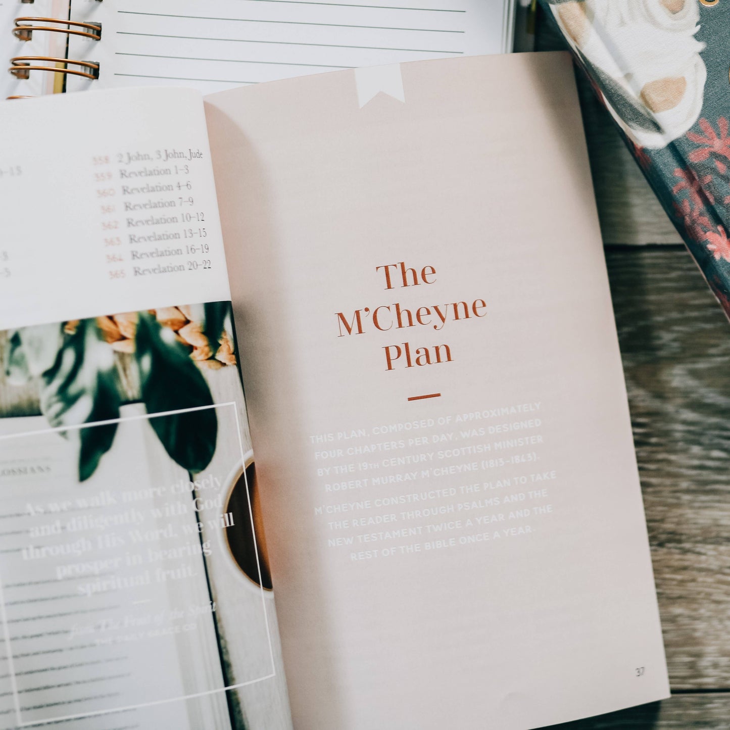 Seasons in the Word - Bible Reading Plans