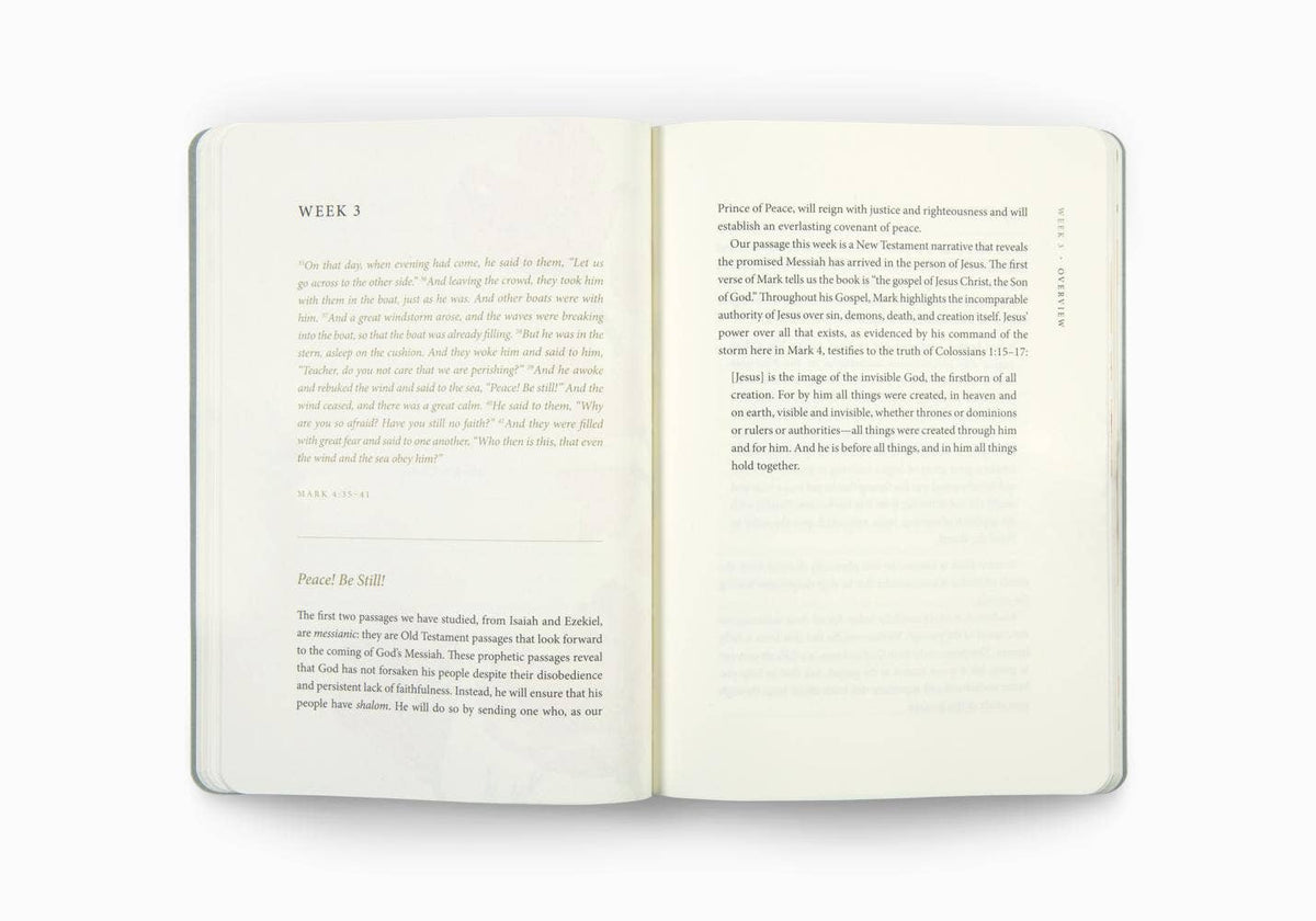 Prayer Journal: 30 Days on Peace