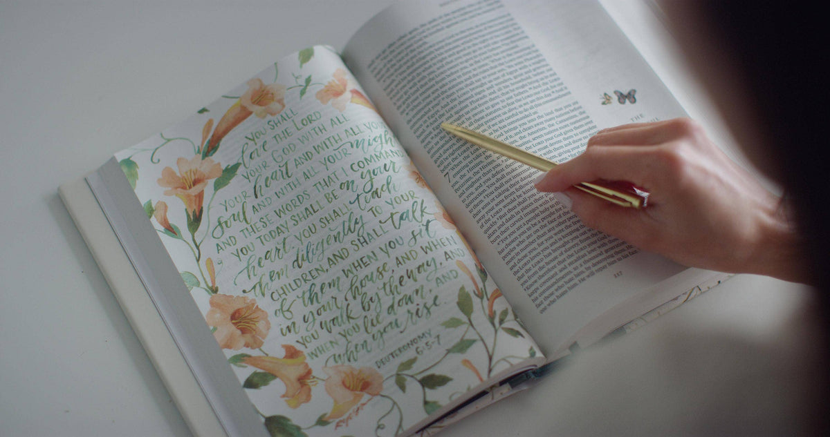 GraceLaced Bible - ESV