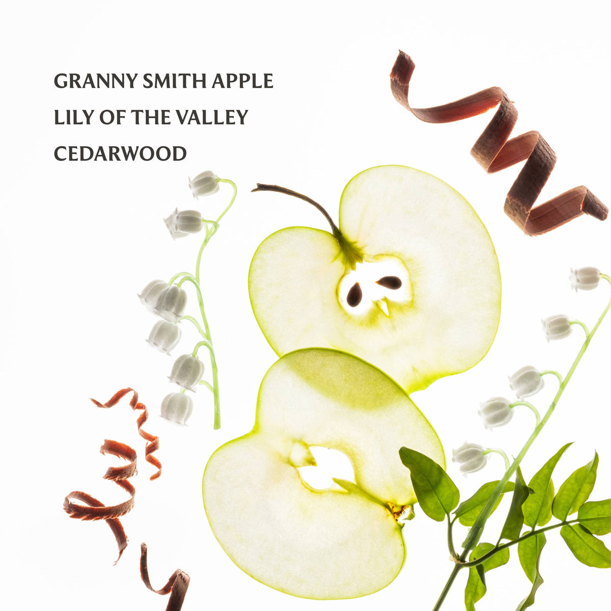 Hand Sanitizer / Applelicious