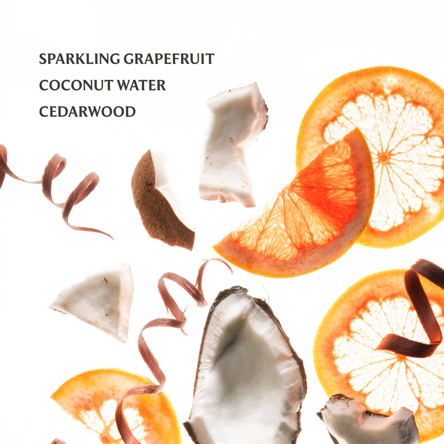 Hand Sanitizer / Beach Coco