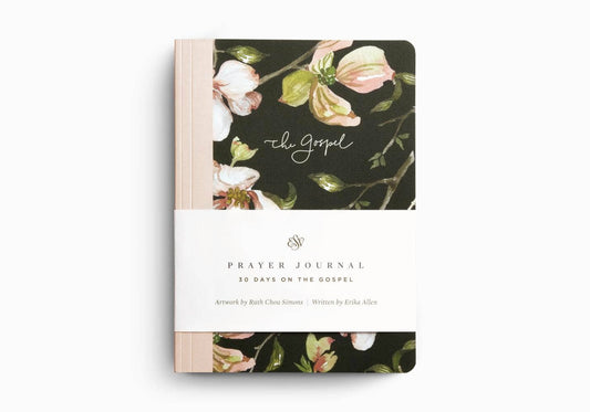 Prayer Journal: 30 Days on the Gospel