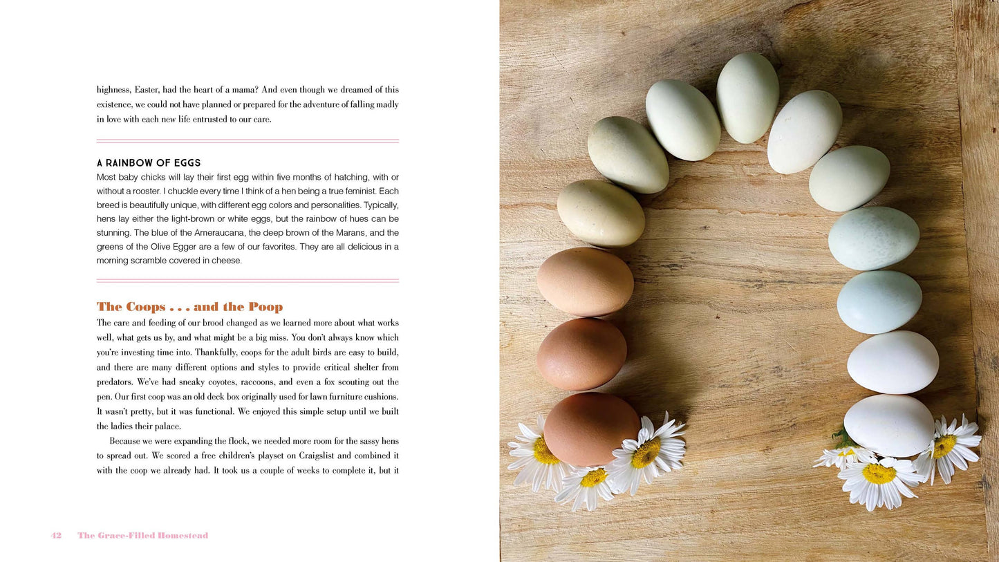 The Grace-Filled Homestead Book