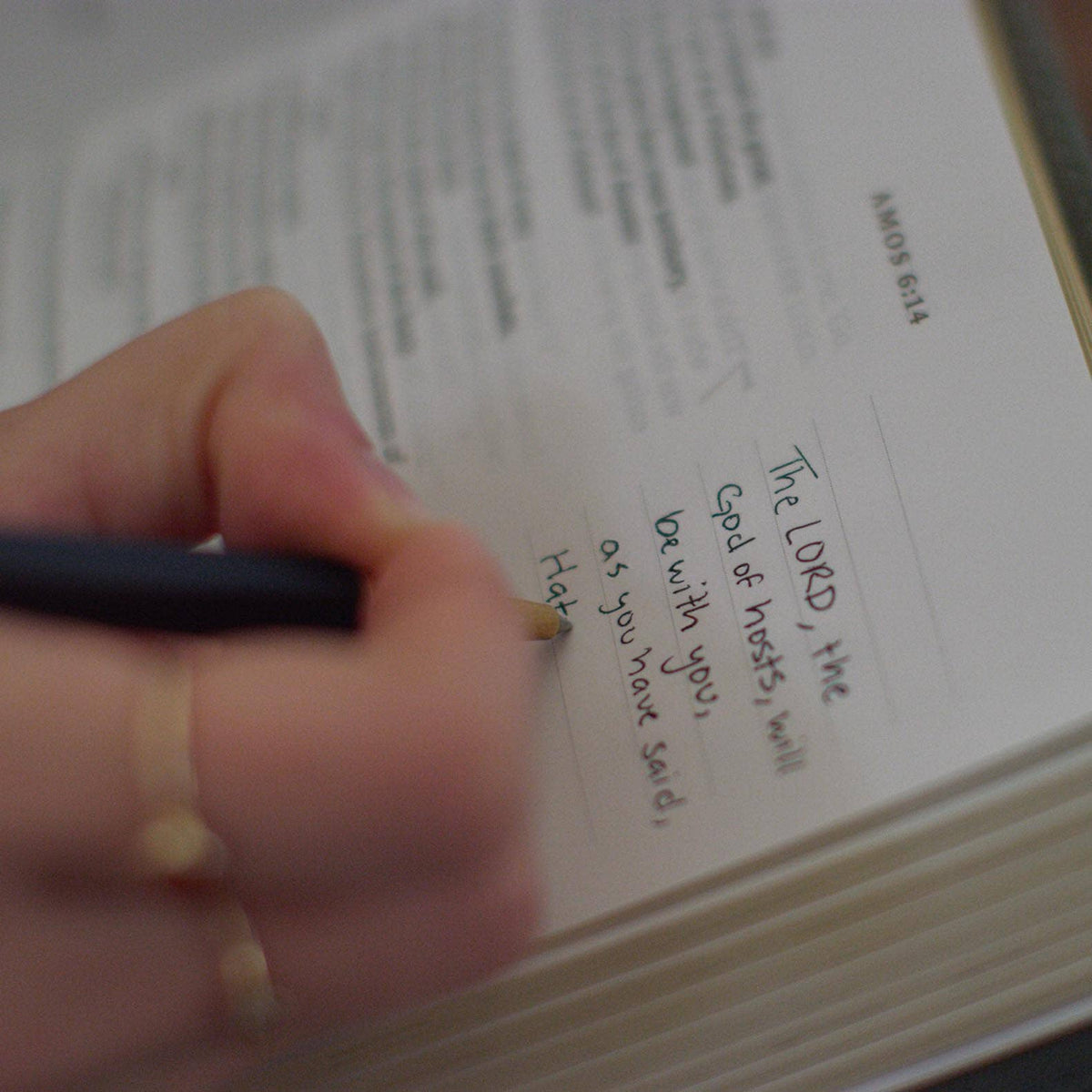 GraceLaced Bible - ESV