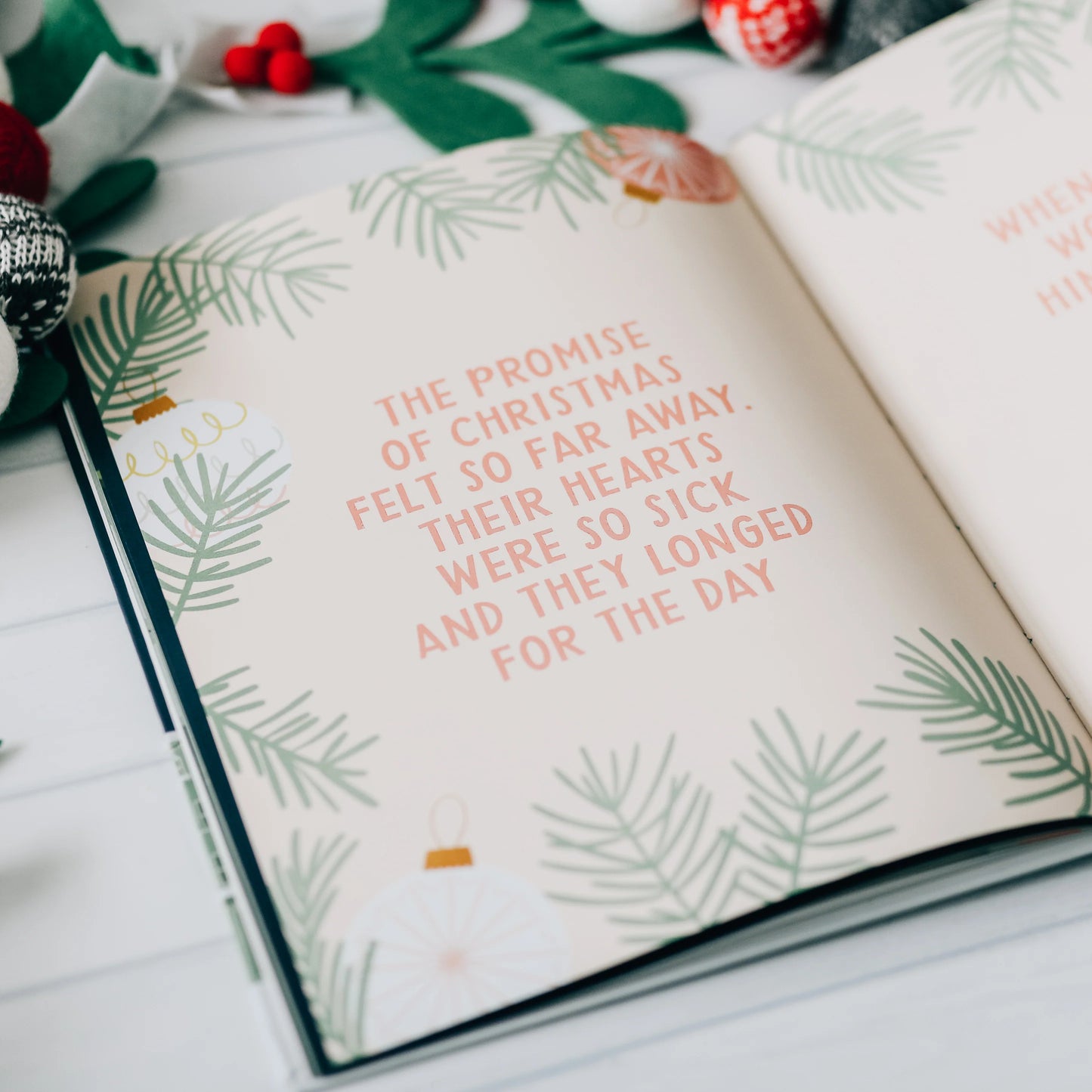 The Promise of Christmas Picture Book