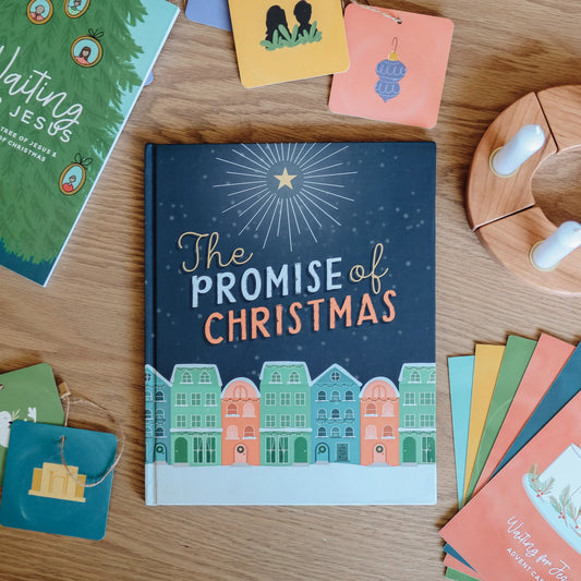 The Promise of Christmas Picture Book