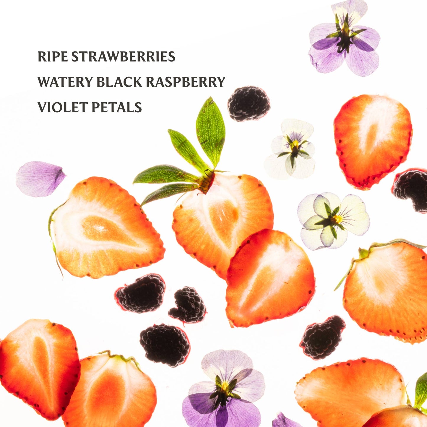 Hand Sanitizer / Berry Bliss