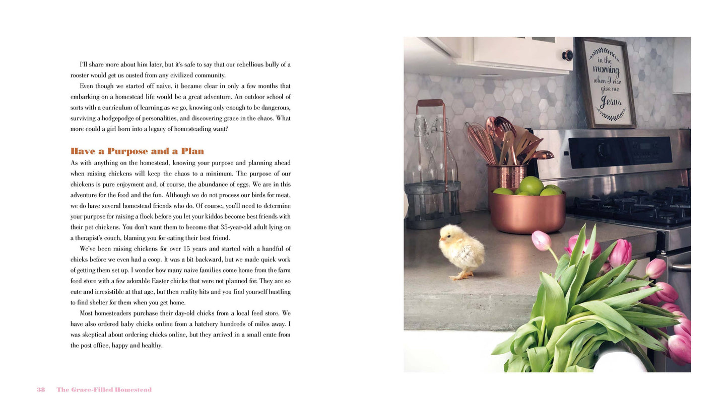 The Grace-Filled Homestead Book