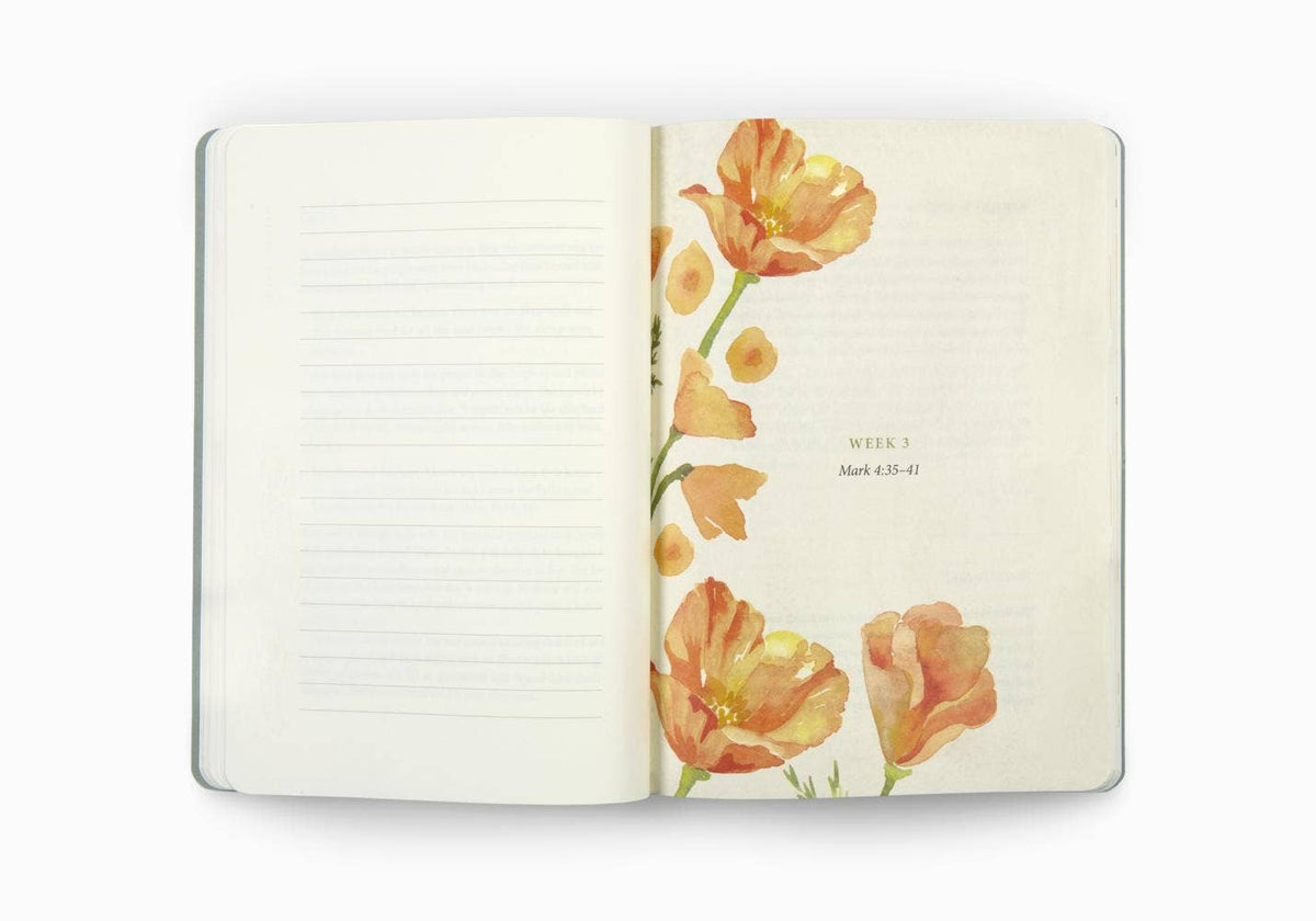 Prayer Journal: 30 Days on Peace