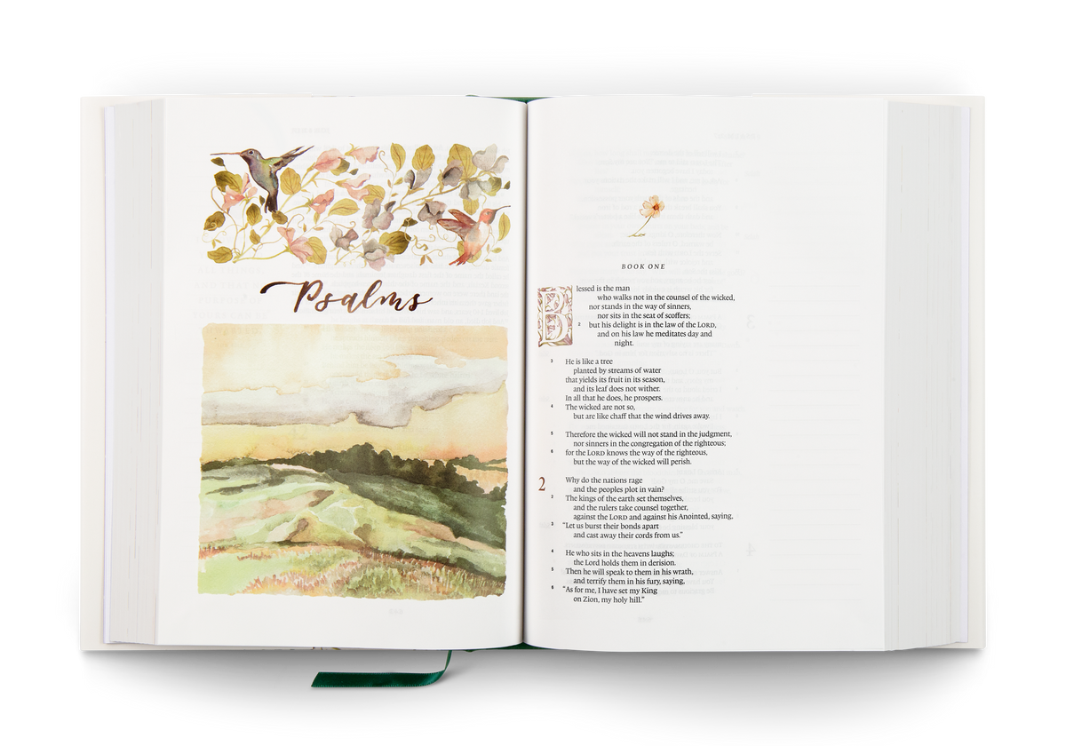 GraceLaced Bible - ESV