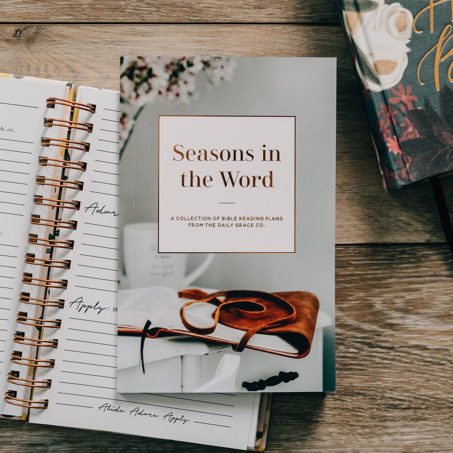 Seasons in the Word - A Collection of Bible Reading Plans from the Daily Grace Co.